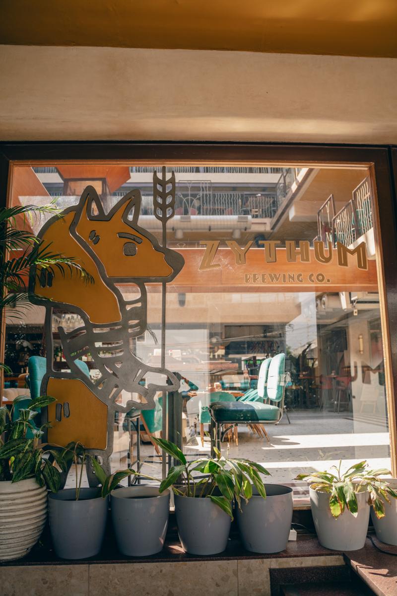 The Anubis mascot on the window at the entrance