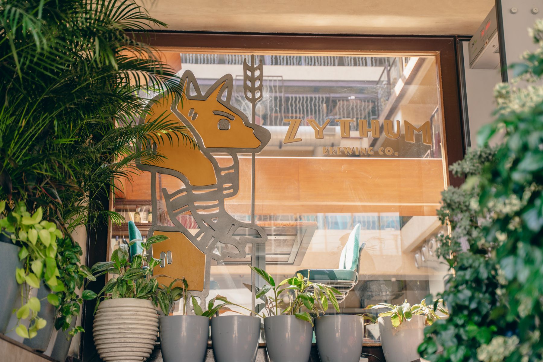 Anubis mascot painted on the window, plants outside